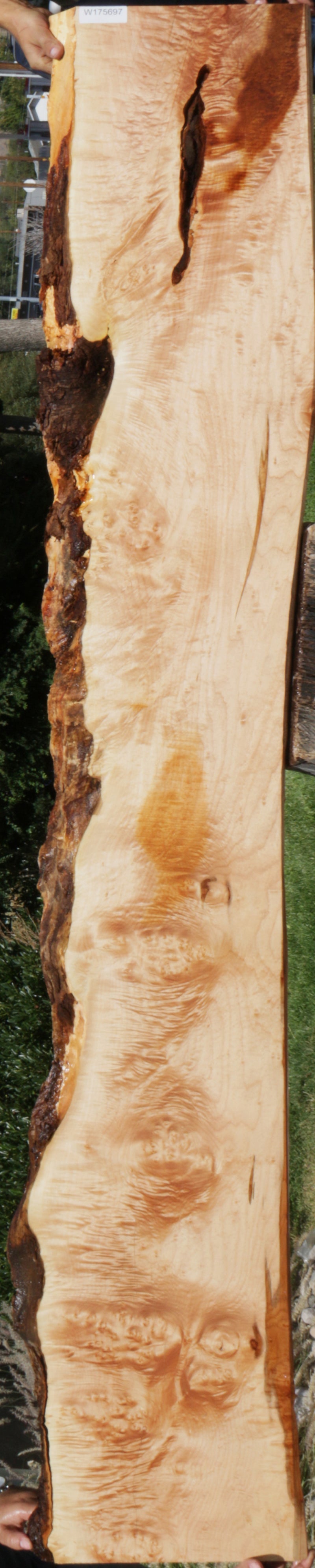 Quilted Maple Burl Live Edge Lumber (Freight Shipping Required)