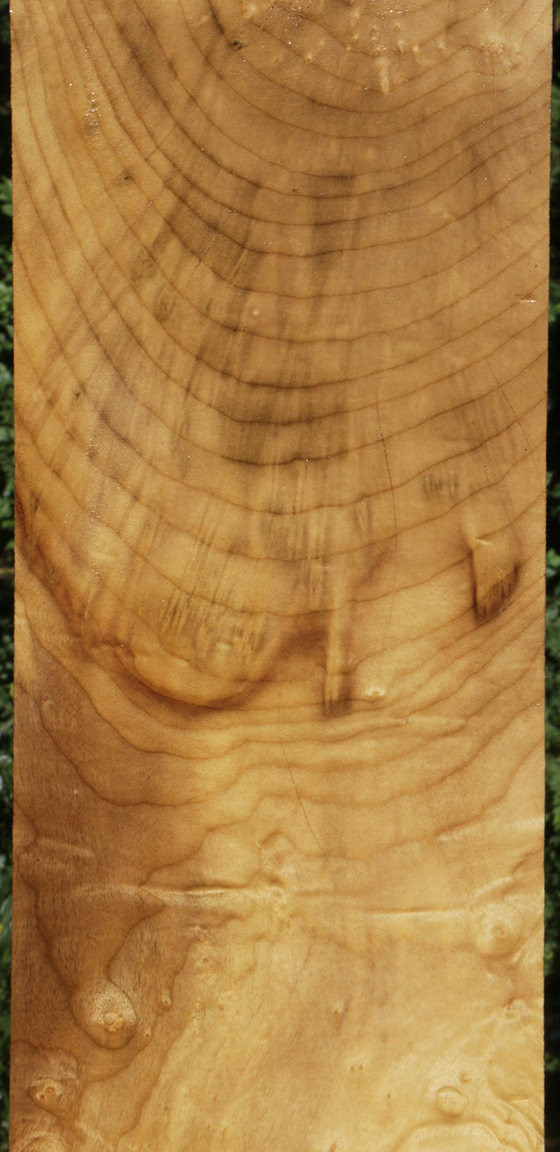 Myrtle Burl Lumber