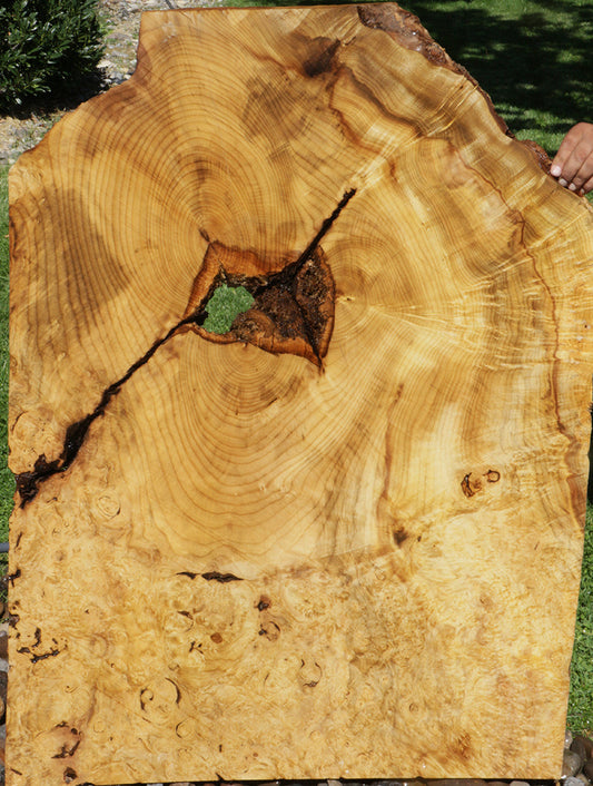 Myrtle Burl Live Edge Lumber (Freight Shipping Required)
