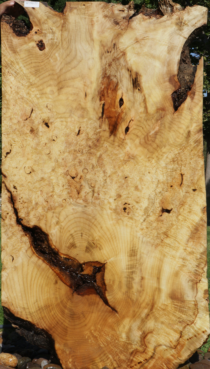 Myrtle Burl Lumber (Freight Shipping Required)