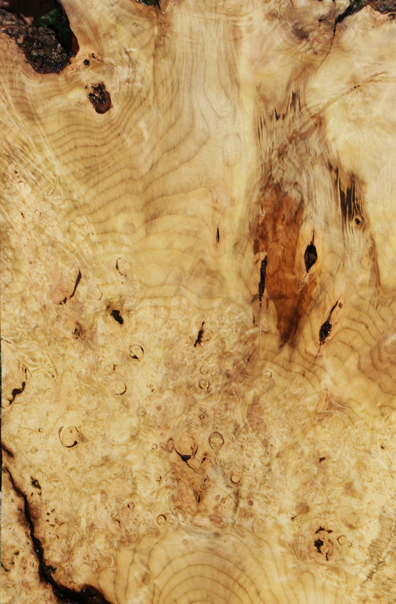 Myrtle Burl Lumber (Freight Shipping Required)