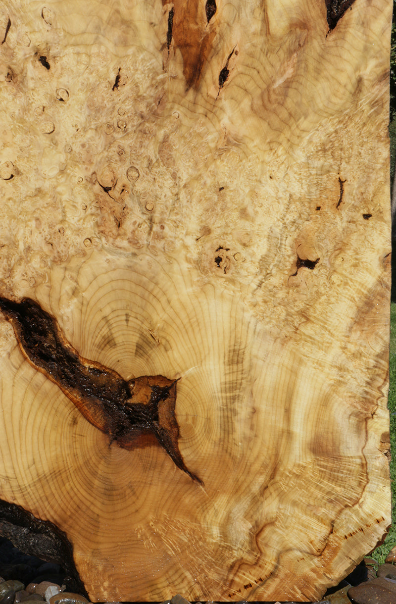 Myrtle Burl Lumber (Freight Shipping Required)