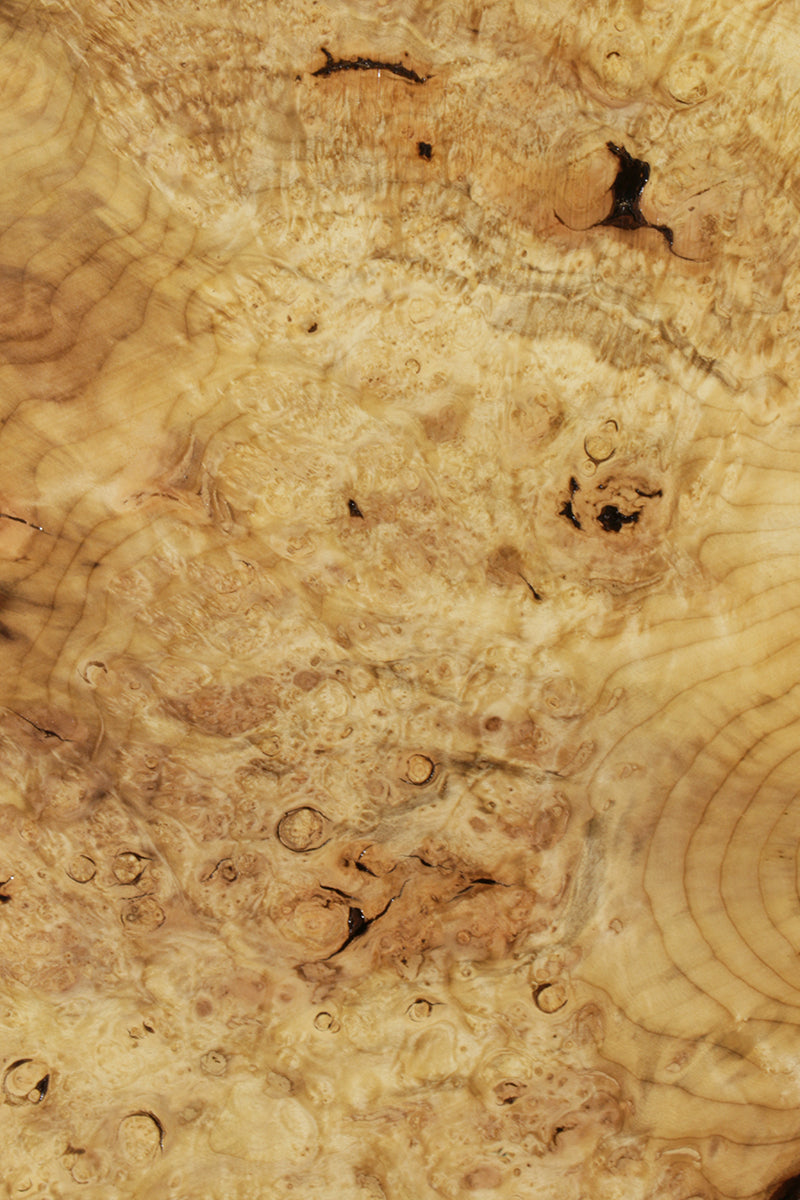 Myrtle Burl Lumber (Freight Shipping Required)