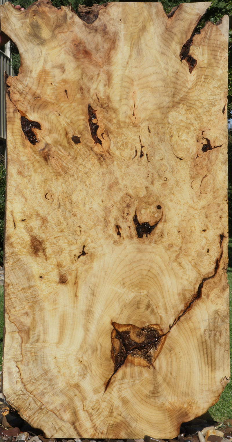 Myrtle Burl Lumber (Freight Shipping Required)