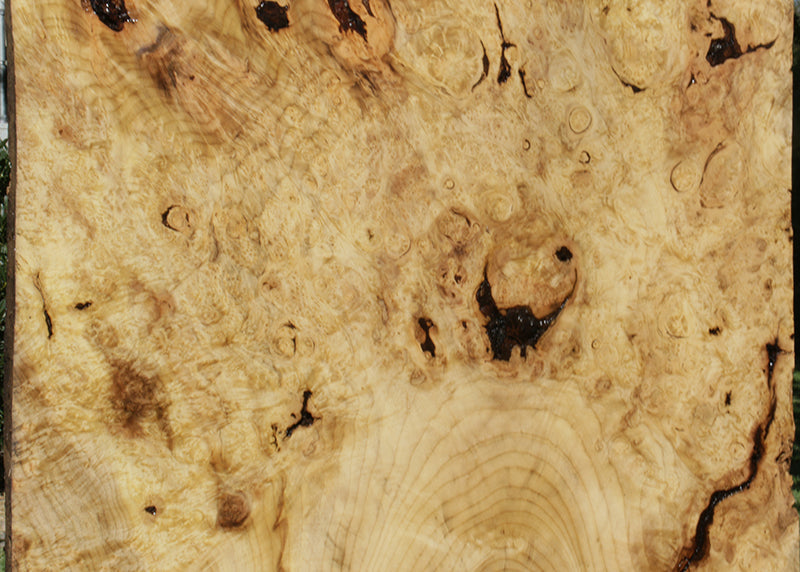 Myrtle Burl Lumber (Freight Shipping Required)