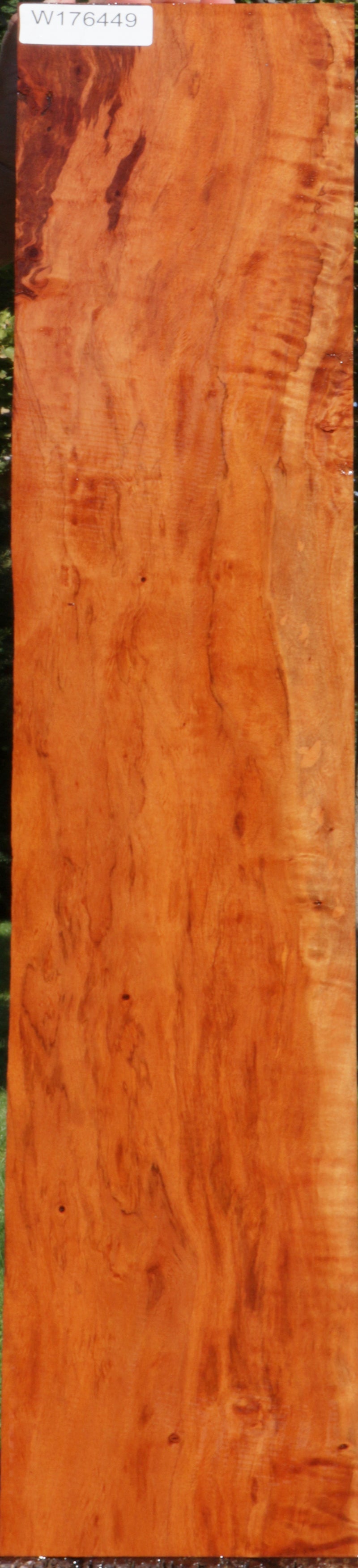 Spalted Figured Rambutan Lumber