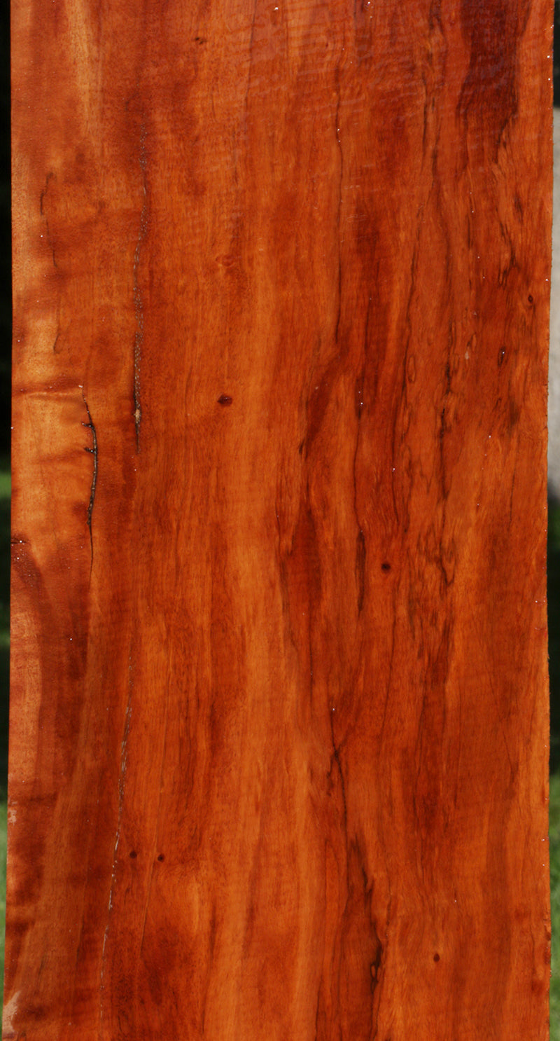 Spalted Figured Rambutan Lumber