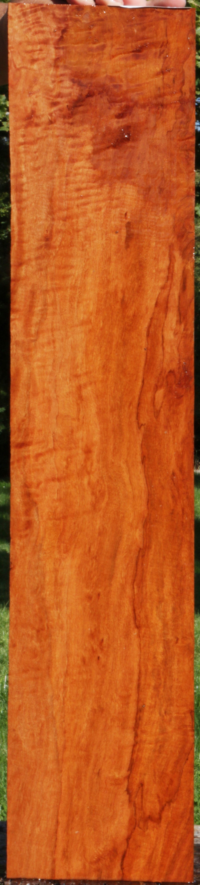 Extra Fancy Figured Rambutan Lumber