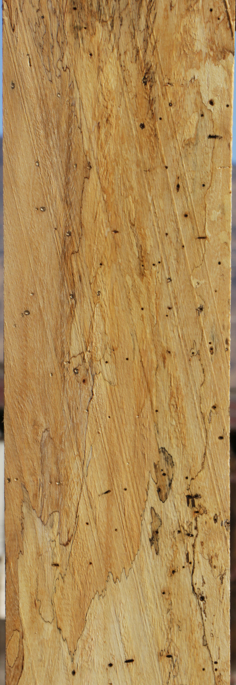 Spalted Tamarind Lumber
