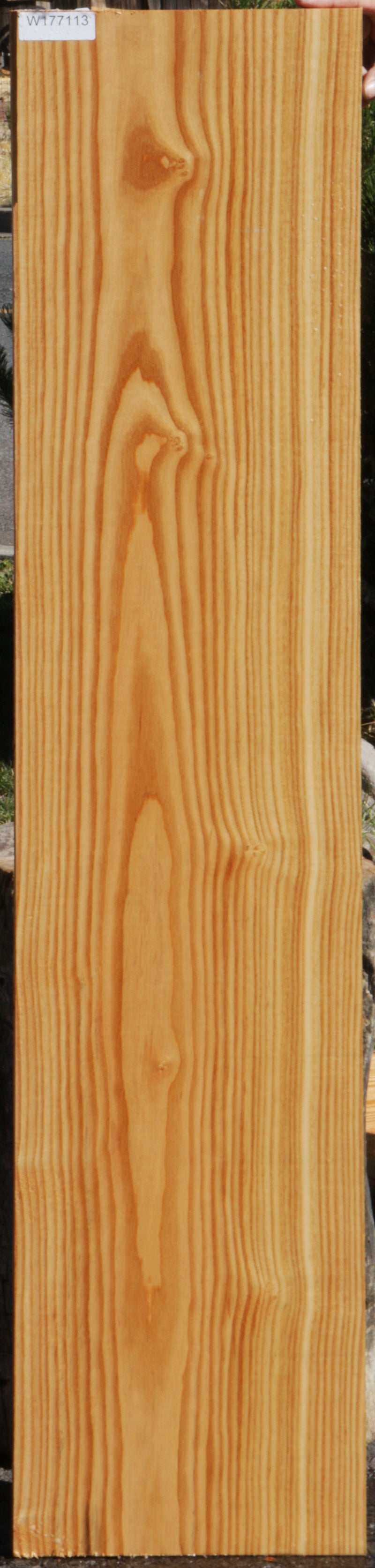Kentucky Coffeetree Lumber