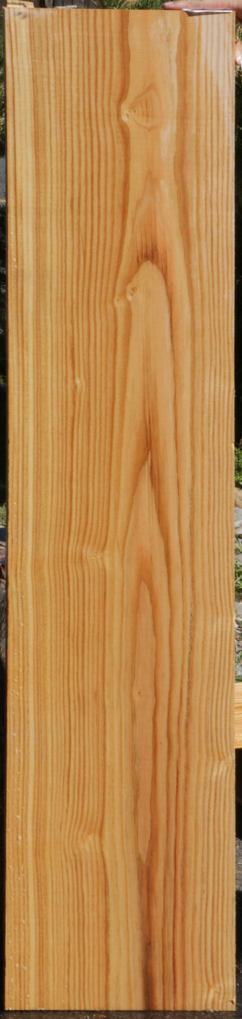 Kentucky Coffeetree Lumber