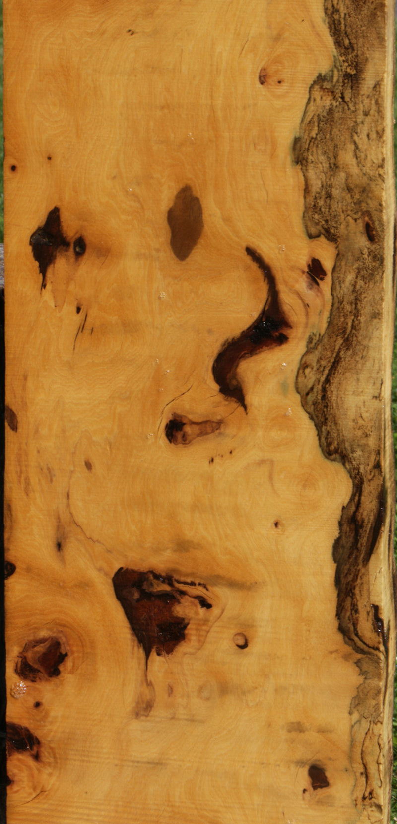 Rustic Piquiarana Live Edge Mantel