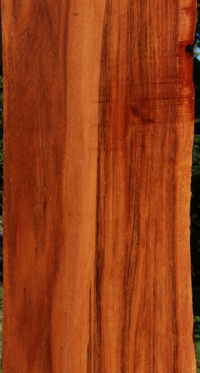 Patagonian Rosewood Live Edge Lumber