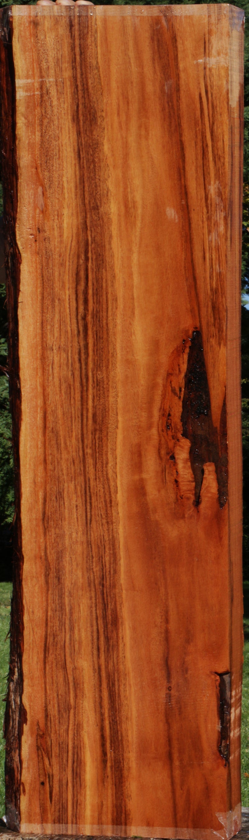 Patagonian Rosewood Live Edge Lumber