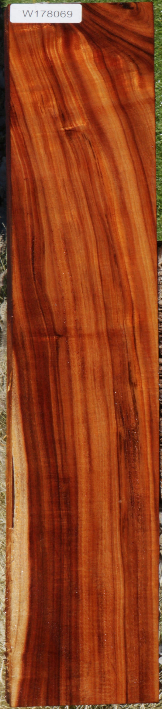 Extra Fancy Curly Hawaiian Koa Instrument Lumber