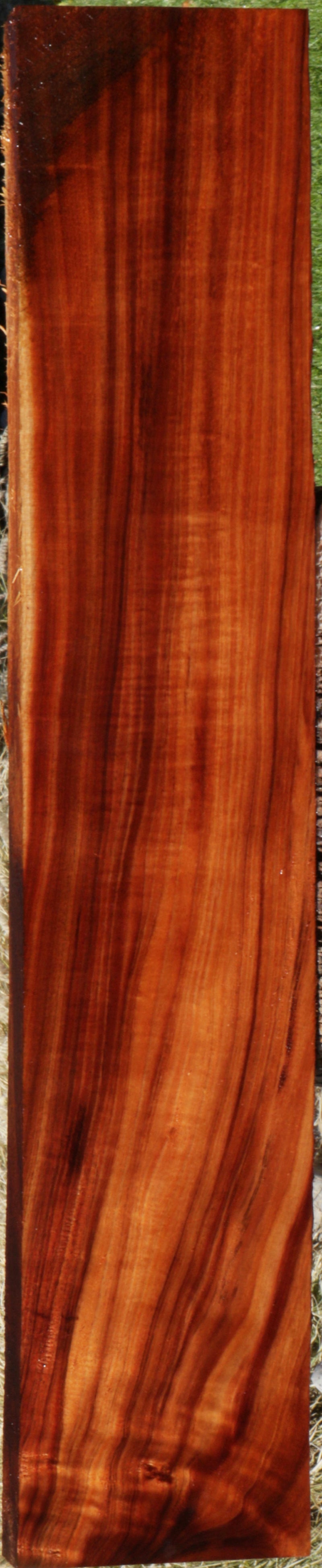 Extra Fancy Curly Hawaiian Koa Instrument Lumber
