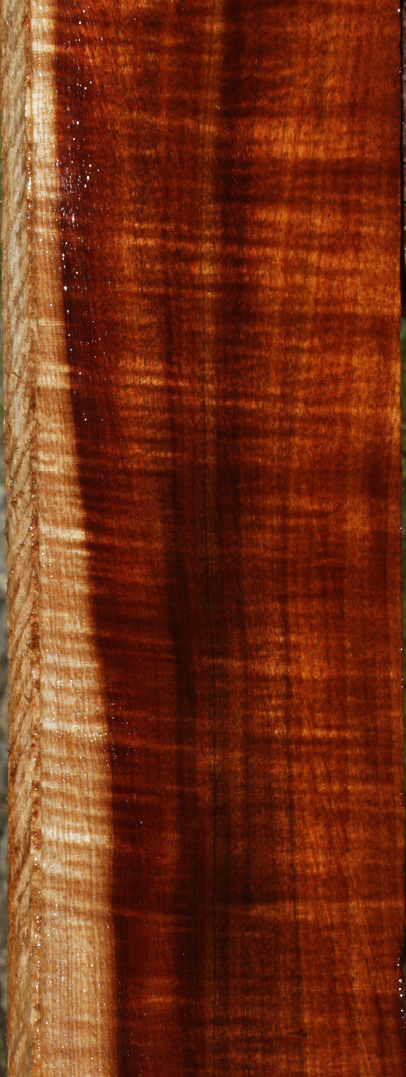Exhibition Curly Hawaiian Koa Lumber