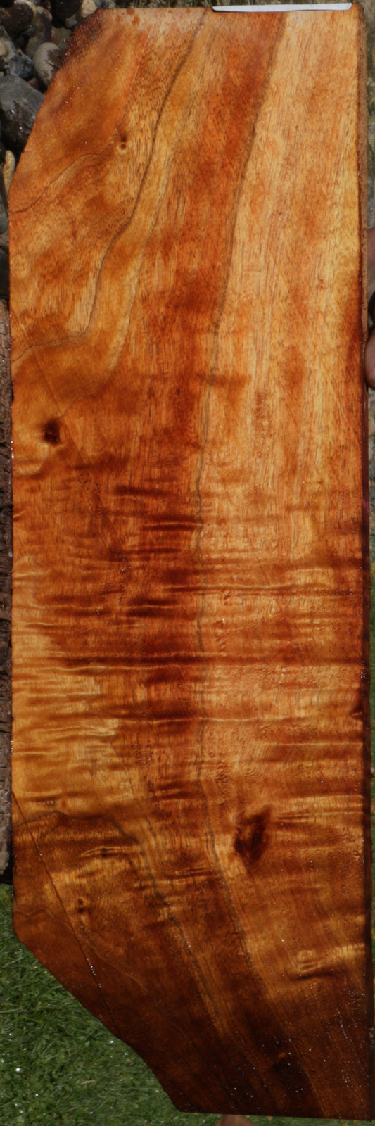 Exhibition Curly Hawaiian Koa Instrument Lumber