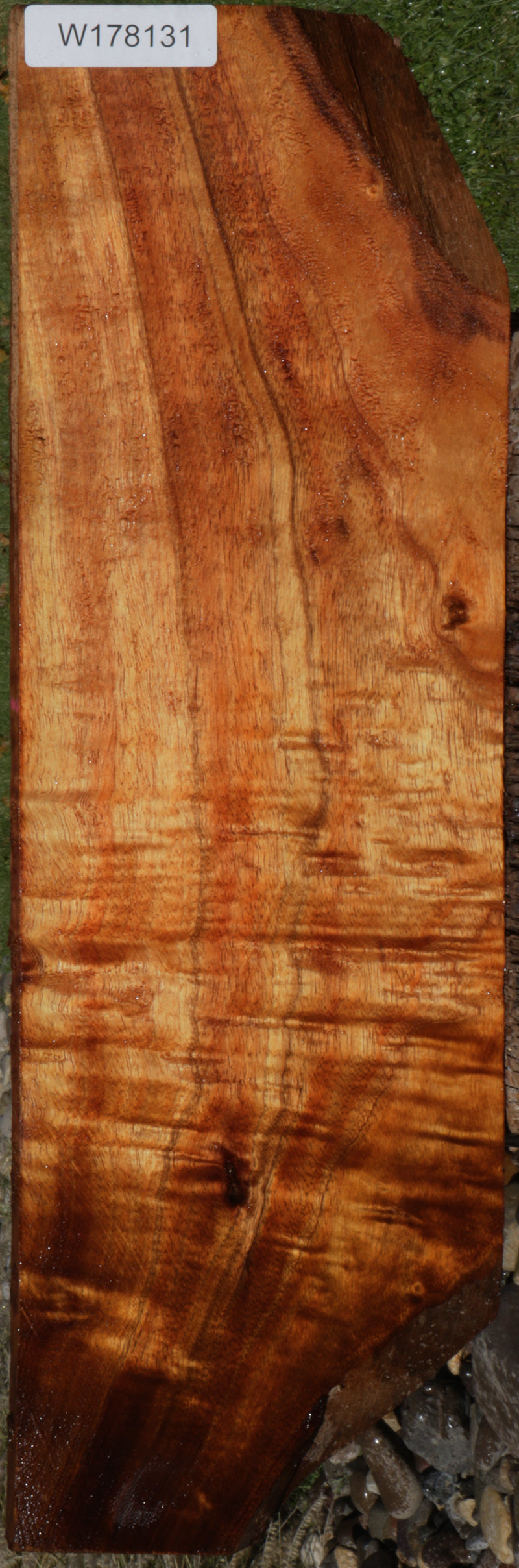 Exhibition Curly Hawaiian Koa Instrument Lumber