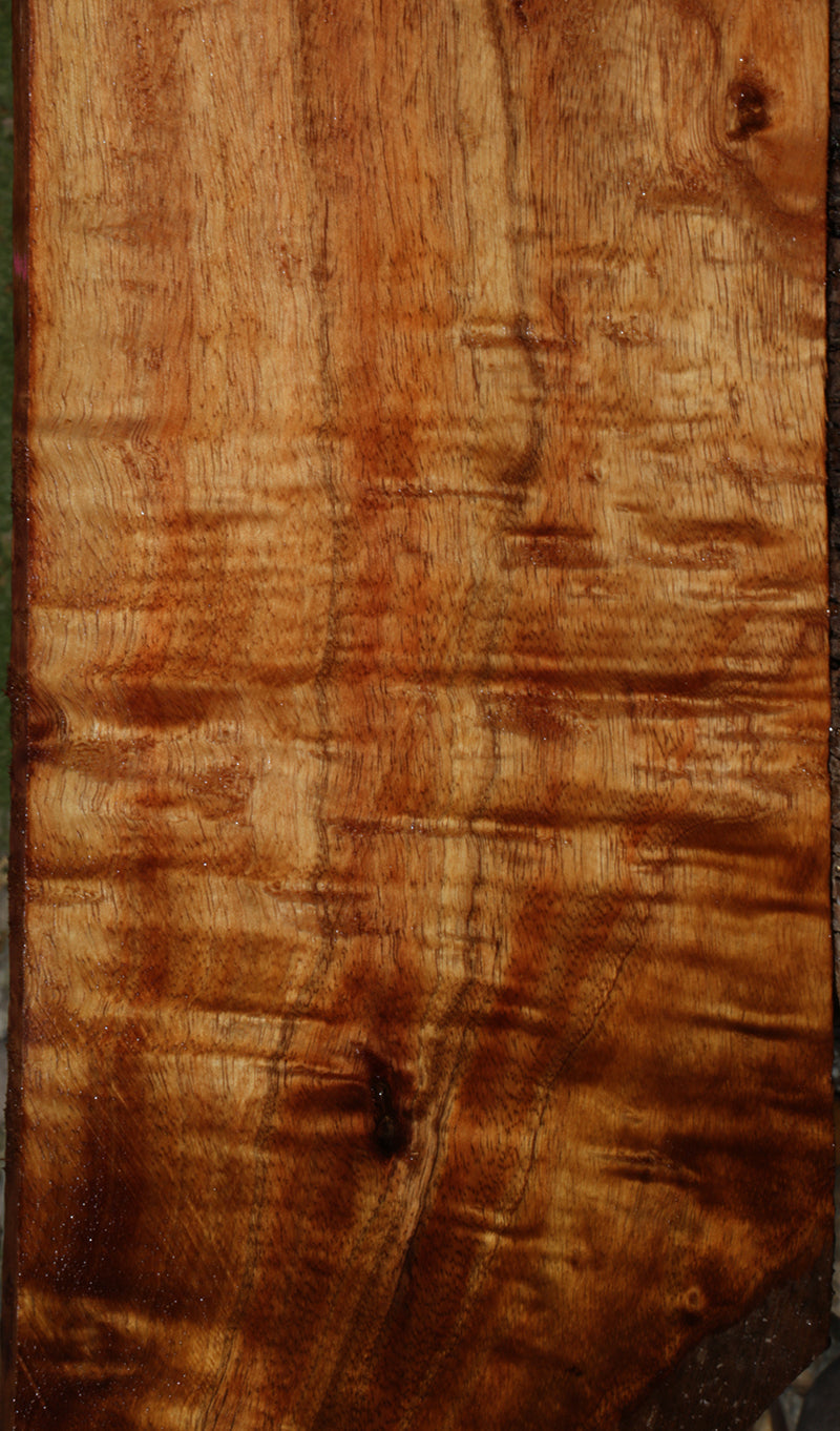 Exhibition Curly Hawaiian Koa Instrument Lumber
