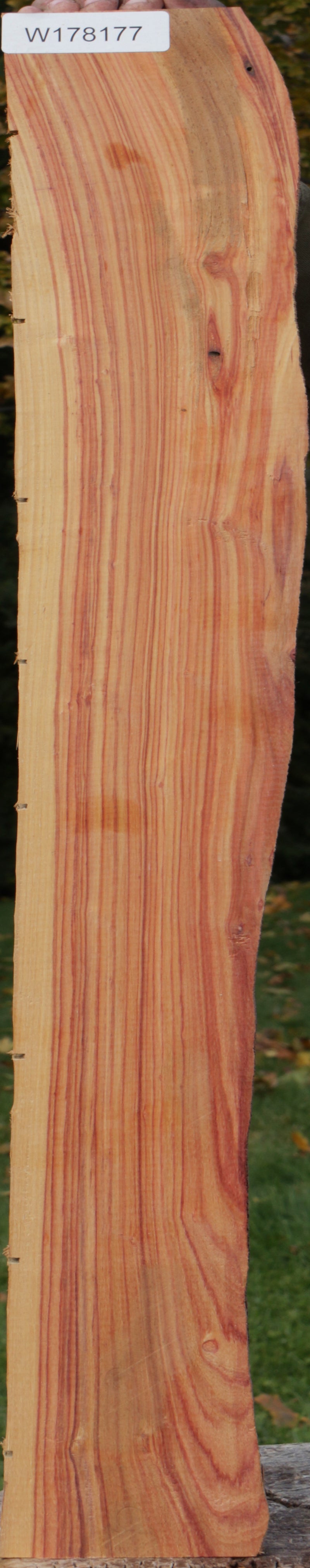 Live Edge Tulipwood Lumber