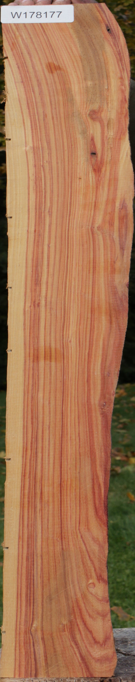 Live Edge Tulipwood Lumber