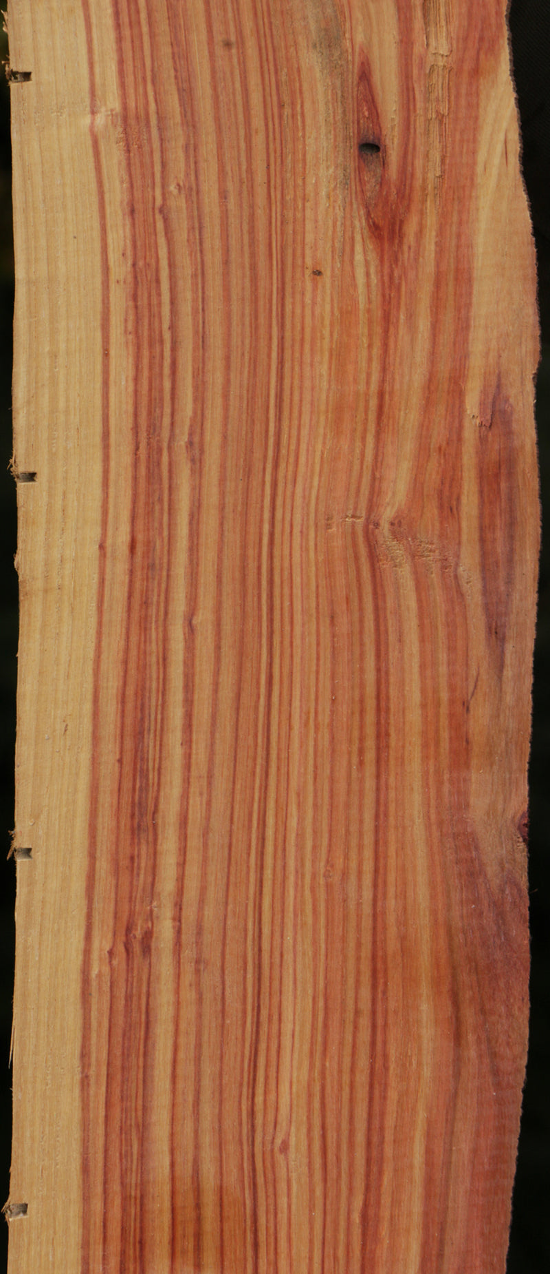Live Edge Tulipwood Lumber