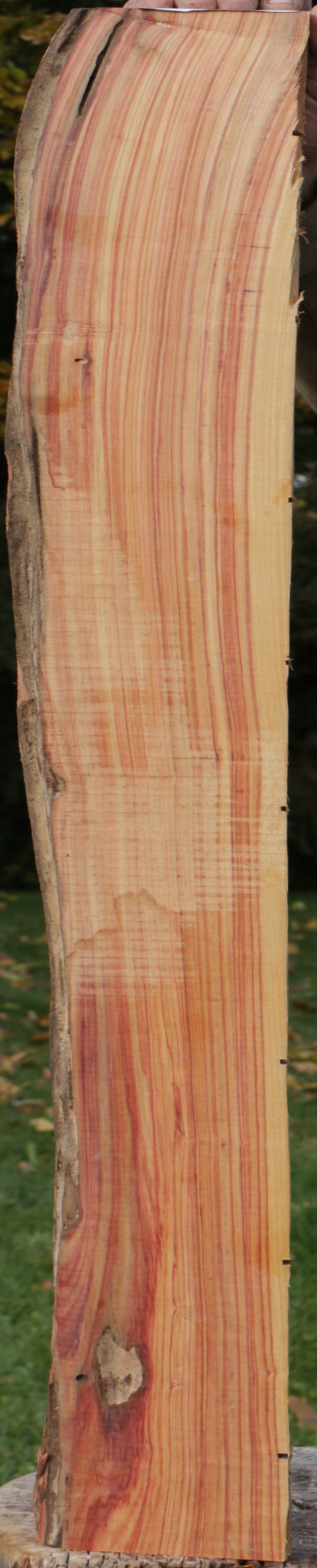 Live Edge Tulipwood Lumber
