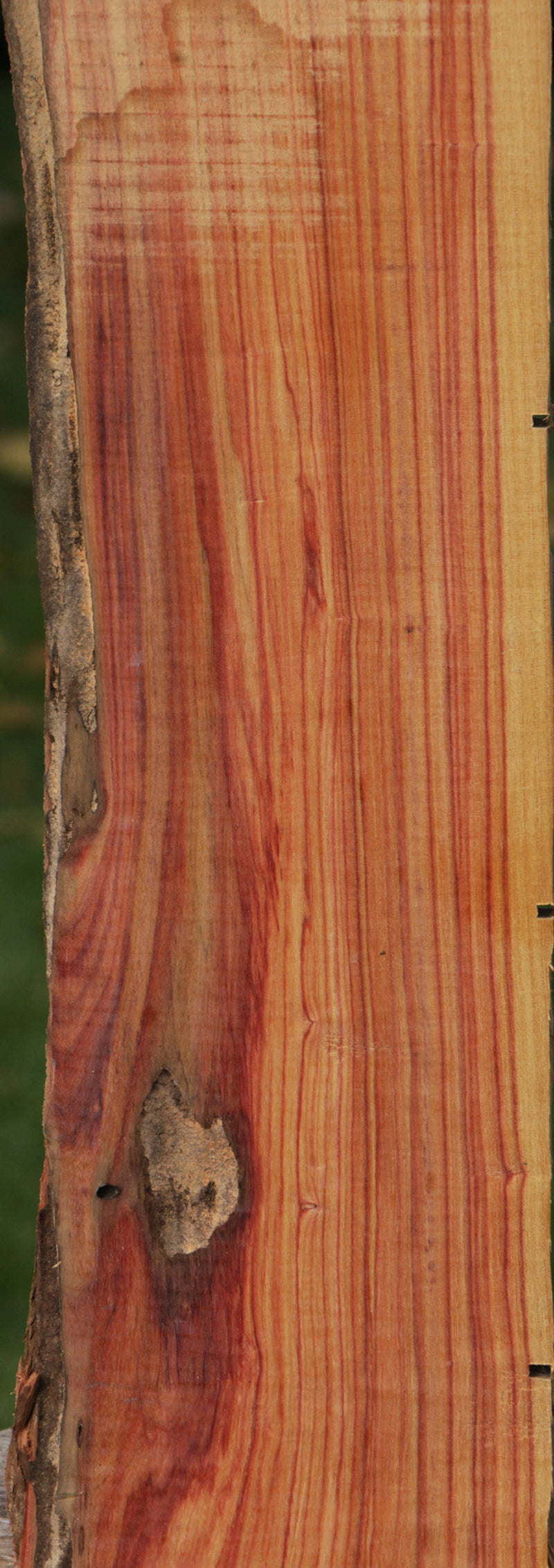 Live Edge Tulipwood Lumber