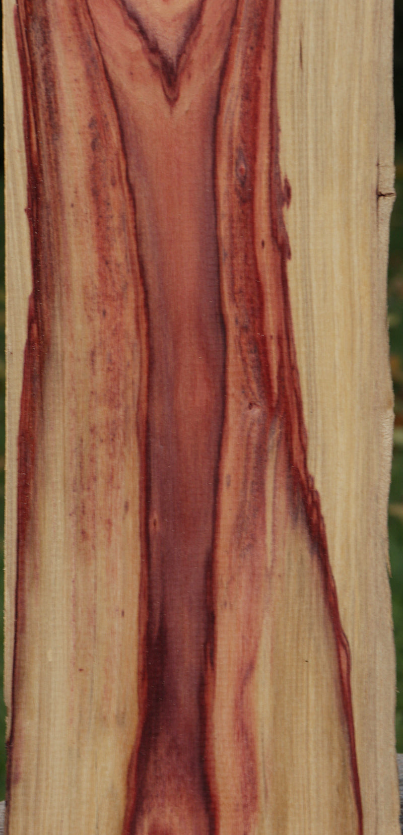 Rustic Live Edge Tulipwood Lumber