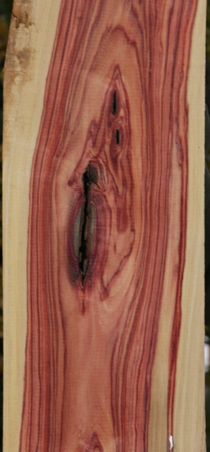 Rustic Live Edge Tulipwood Lumber