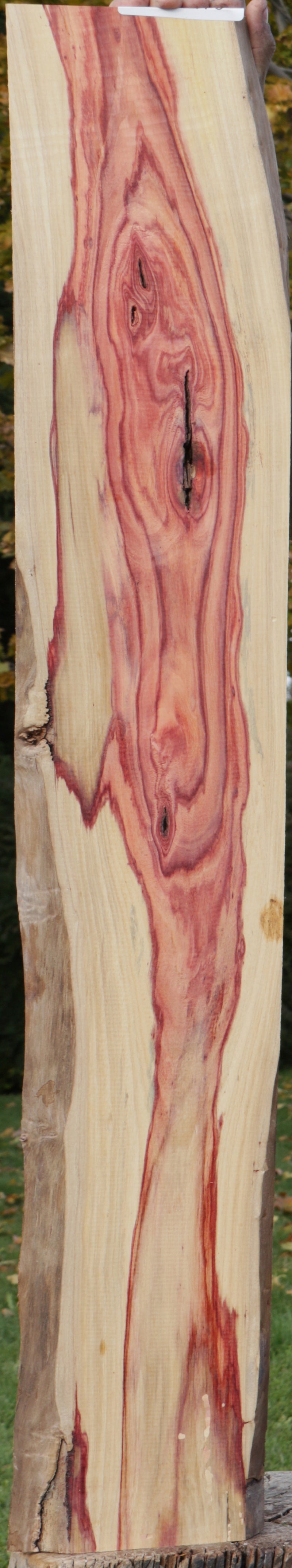 Rustic Live Edge Tulipwood Lumber