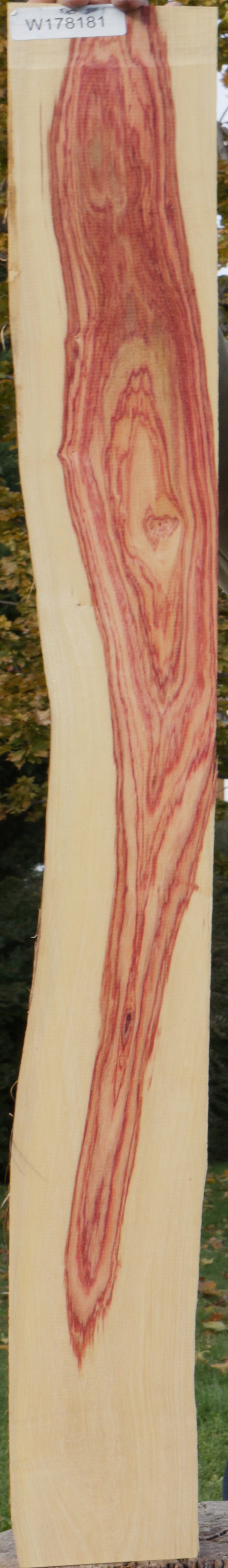 Live Edge Tulipwood Lumber