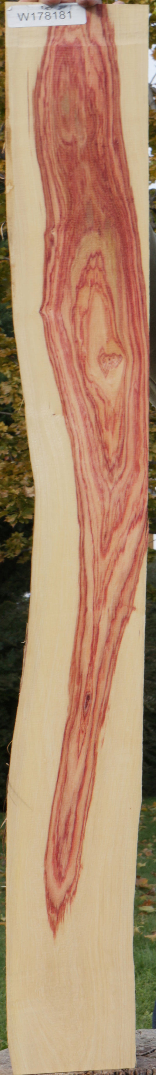 Live Edge Tulipwood Lumber