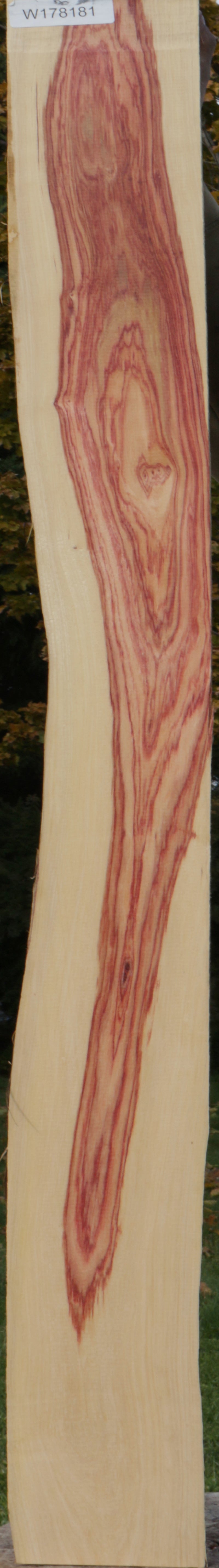 Live Edge Tulipwood Lumber