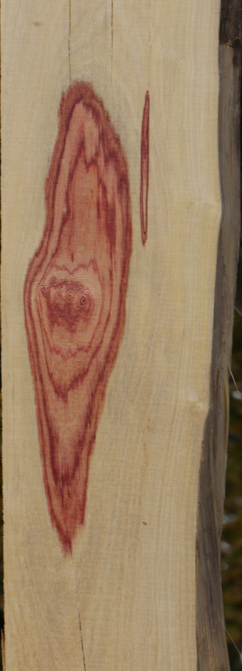 Live Edge Tulipwood Lumber