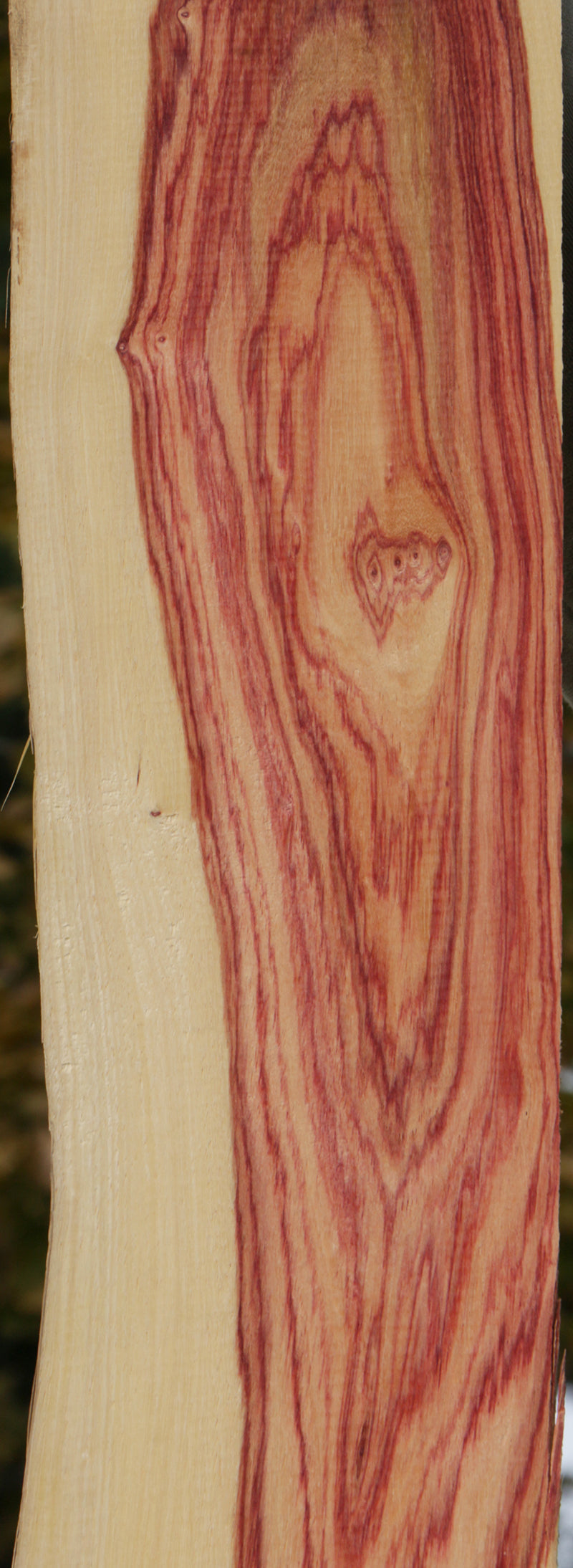 Live Edge Tulipwood Lumber