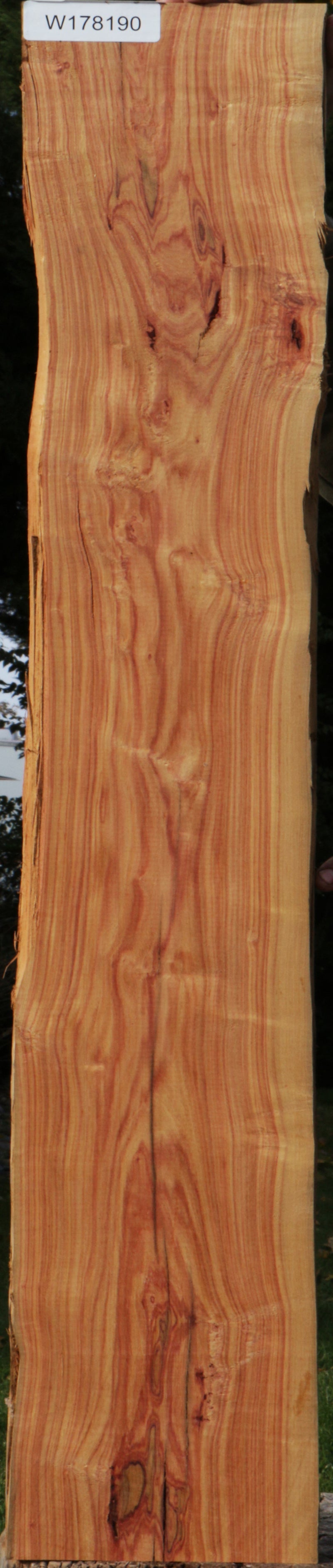 Rustic Live Edge Tulipwood Lumber