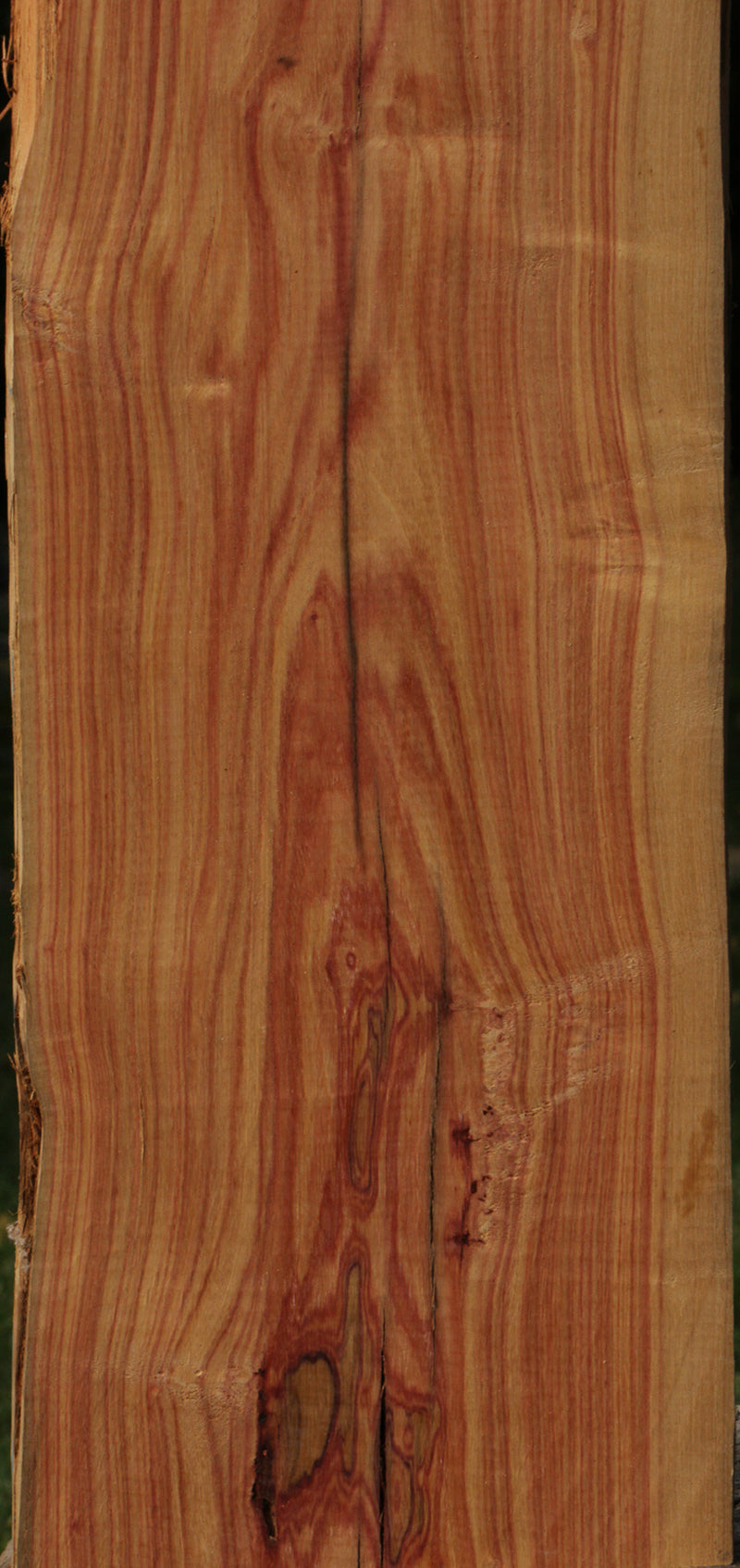 Rustic Live Edge Tulipwood Lumber