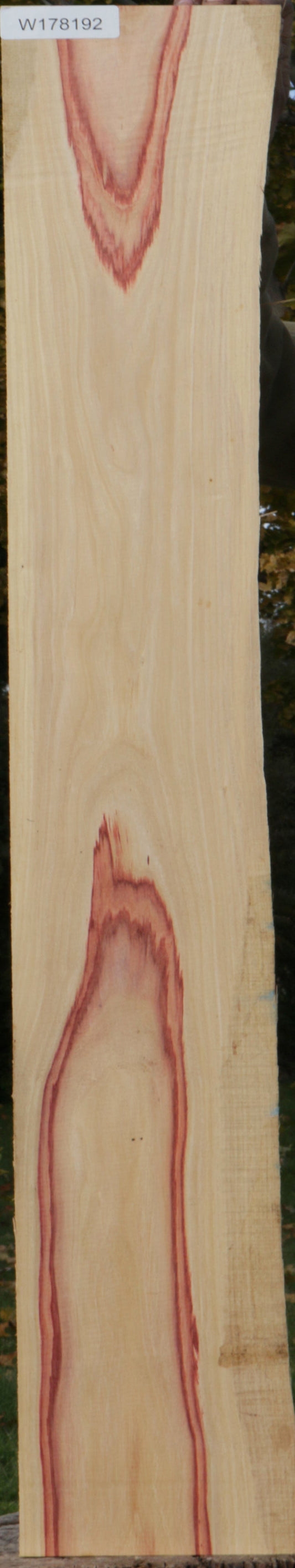 Live Edge Tulipwood Lumber