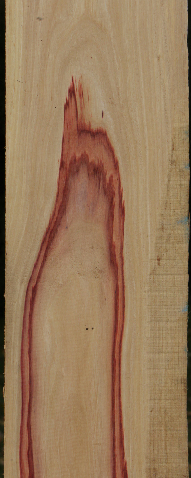 Live Edge Tulipwood Lumber