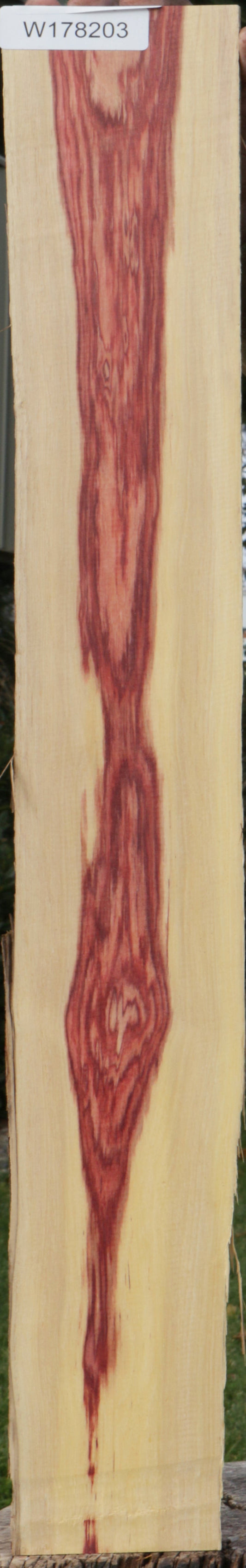 Live Edge Tulipwood Lumber