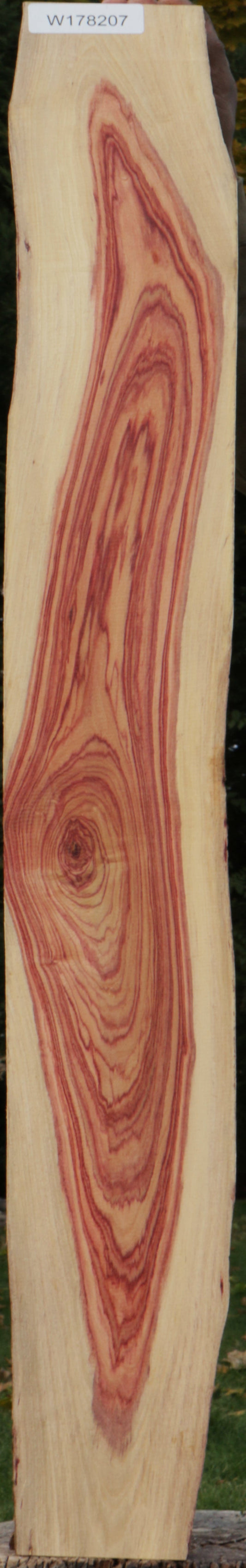 Live Edge Tulipwood Lumber