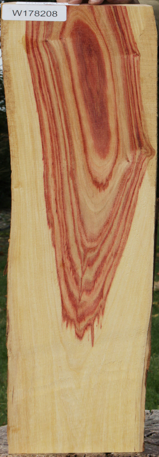Live Edge Tulipwood Lumber