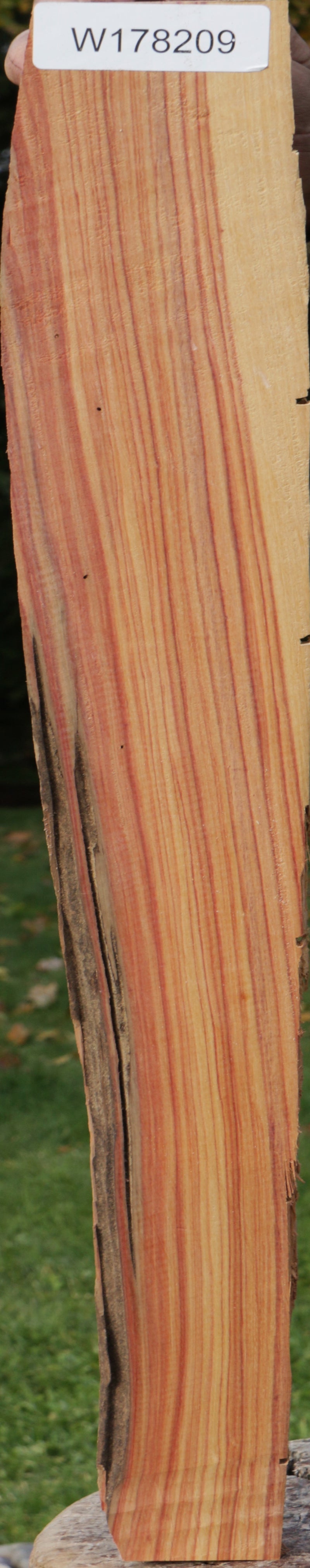 Live Edge Tulipwood Lumber