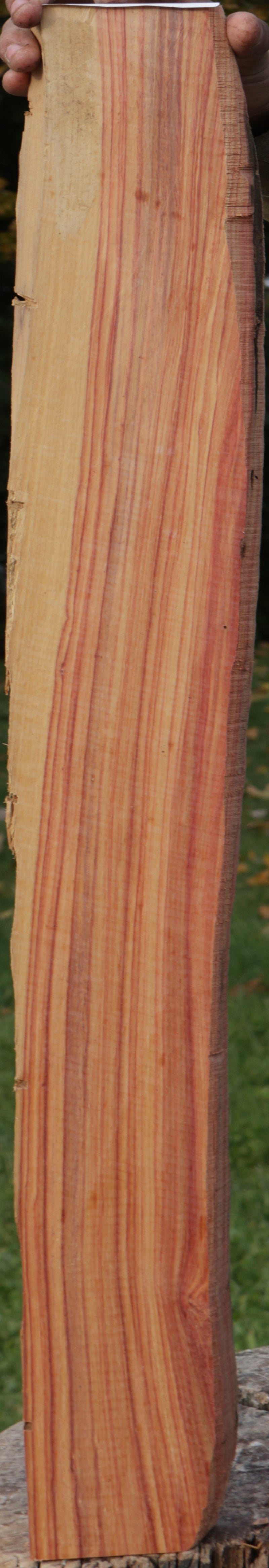 Live Edge Tulipwood Lumber