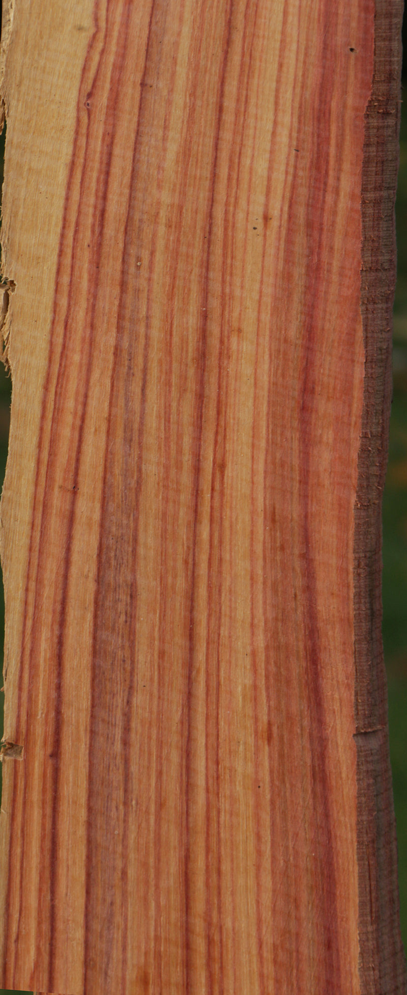 Live Edge Tulipwood Lumber
