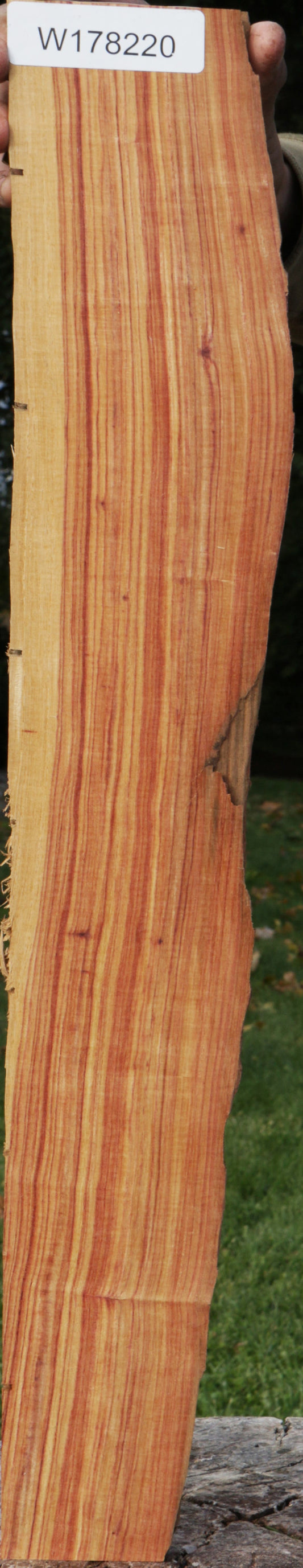 Live Edge Tulipwood Lumber