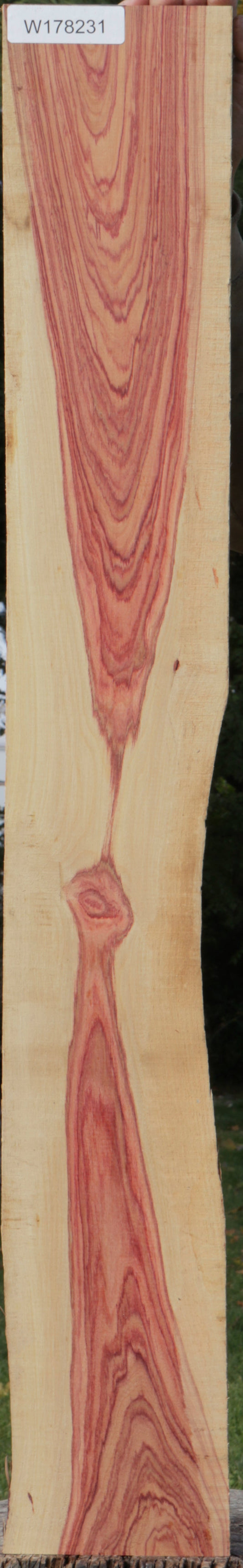 Live Edge Tulipwood Lumber
