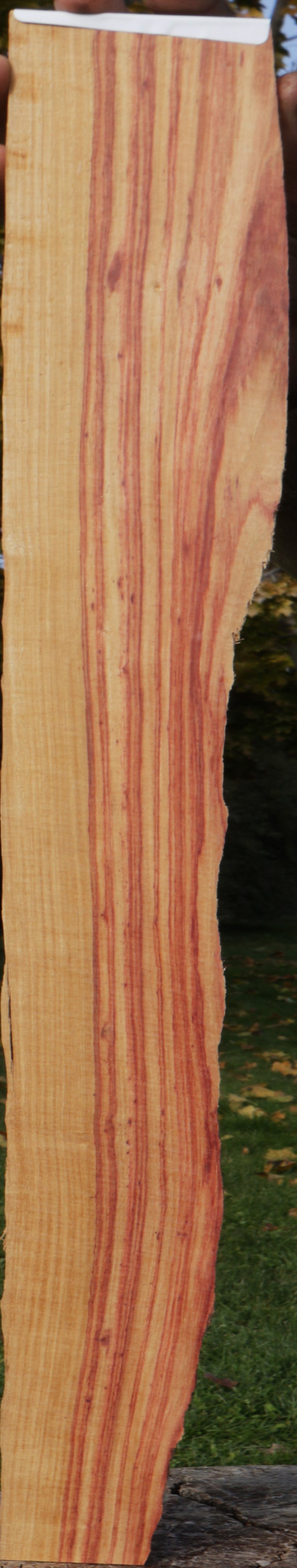 Live Edge Tulipwood Lumber